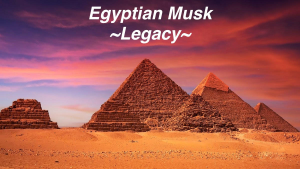 Egyptian Musk ~Legacy~ 8ml Sample